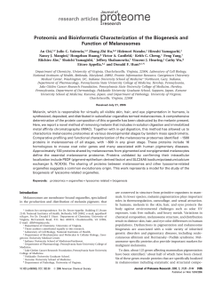 Proteomic and Bioinformatic Characterization of the Biogenesis and