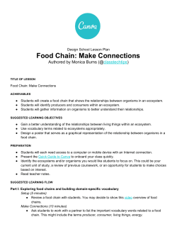 Food Chain: Make Connections