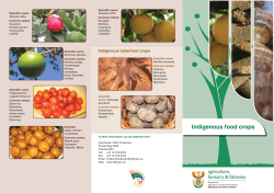 Indigenous Food Crops.indd
