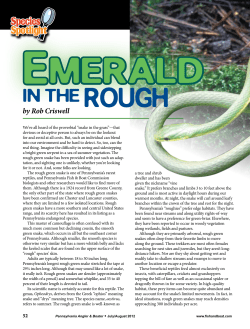 Emerald in the Rough - Fish and Boat Commission