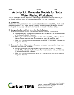 Activity 3.4: Molecular Models for Soda Water Fizzing