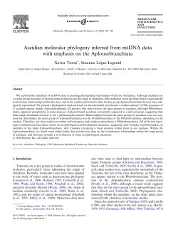 Molecular Phylogenetics and Evolution 33