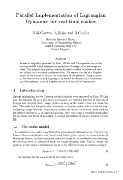 Parallel Implementation of Lagrangian Dynamics for real