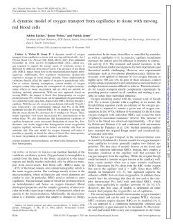 A dynamic model of oxygen transport from capillaries to tissue with