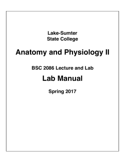 BSC 2086 Lab Manual Copy - Lake