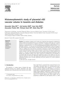 Histomorphometric study of placental villi vascular volume in