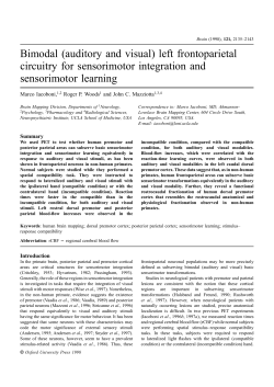 Bimodal (auditory and visual) left frontoparietal
