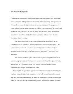 The Kinesthetic System