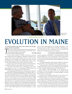Evolution in MainE - American Morgan Horse Association