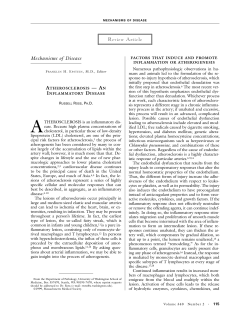 011499 Atherosclerosis &mdash; An Inflammatory Disease