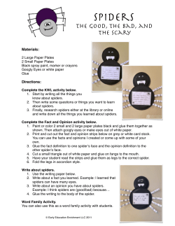 spider activity.pages - Early Education Enrichment