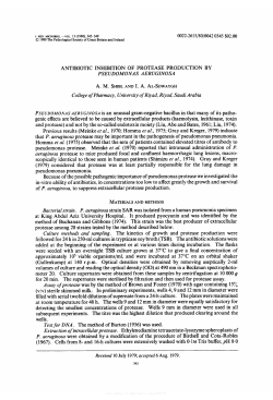 ANTIBIOTIC INHIBITION OF PROTEASE PRODUCTION BY