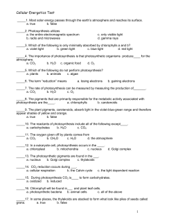 Cellular Energetics Test 1