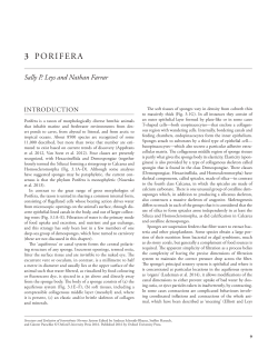 3 PORifERA - Sally Leys Lab