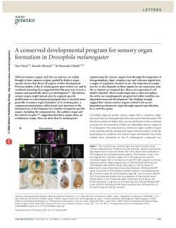 A conserved developmental program for sensory organ