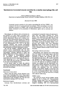 Spontaneous lysosomal enzyme secretion by a murine macrophage