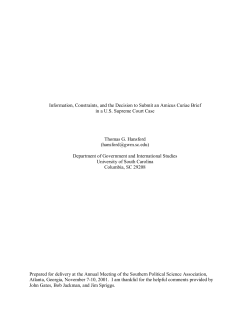 Information, Constraints, and the Decision to Submit an Amicus