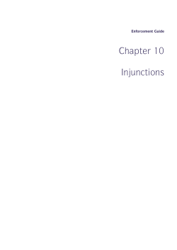 Chapter 10 Injunctions
