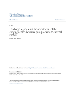 Discharge responses of the nematocysts of the stinging nettle