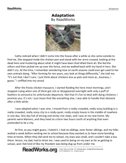 Adaptation - MsLiuatwles