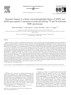 Structural changes in a binary mixed phospholipid bilayer of DOPG