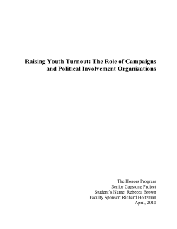 The Role of Campaigns and Political Involvement Organizations