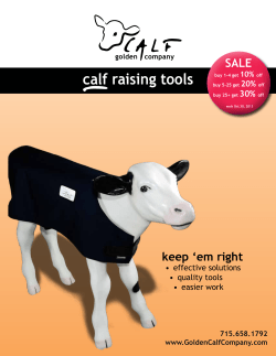 calf raising tools - Golden Calf Company