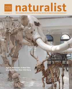 Age of Mammals: A New Take on a 65-Million-Year