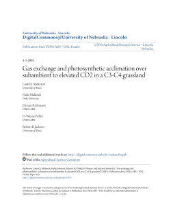 Gas exchange and photosynthetic acclimation over subambient to