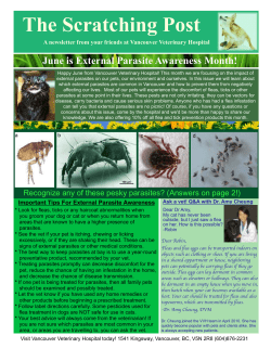 The Scratching Post - Vancouver Veterinary Hospital