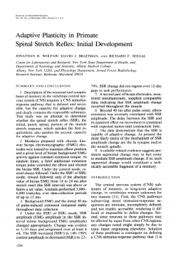 Adaptive plasticity in primate spinal stretch reflex initial development