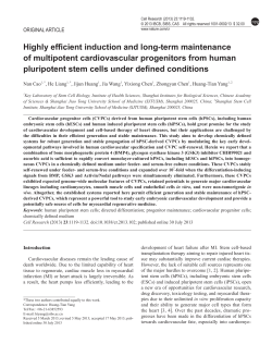 Highly efficient induction and long-term maintenance of
