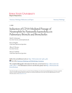 Induction of CD18-Mediated Passage of Neutrophils by Pasteurella