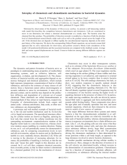 Interplay of chemotaxis and chemokinesis mechanisms in