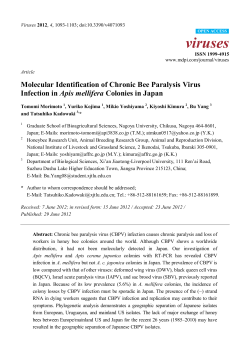 Full-Text PDF