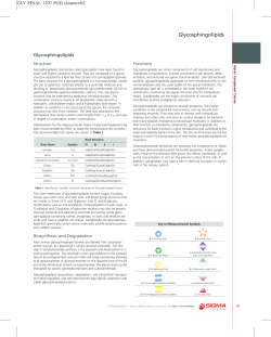 Structure Functions - Sigma