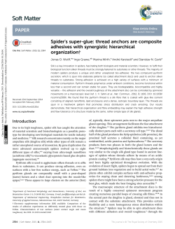 Spider`s super-glue: thread anchors are composite adhesives with