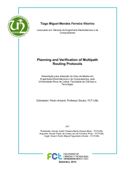 Planning and Verification of Multipath Routing Protocols