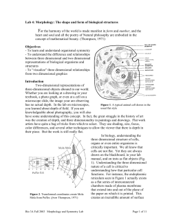 Morphology and Symmetry Lab