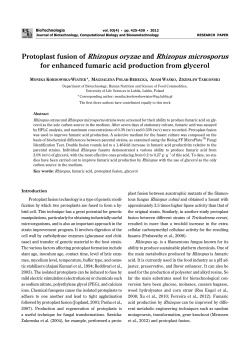 Protoplast fusion of Rhizopus oryzae and Rhizopus microsporus for