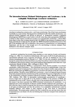The Interaction between Methanol Dehydrogenase