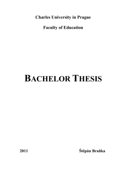 BACHELOR THESIS