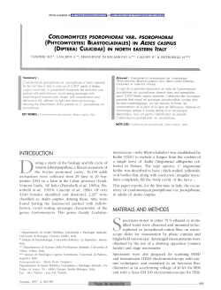 Coelomomyces psorophorae var. psorophorae \(Phycomycetes