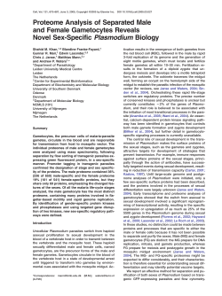 Proteome Analysis of Separated Male and Female Gametocytes