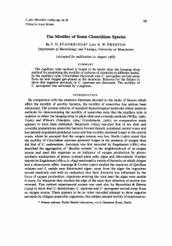 The Motility of Some Clostridium Species