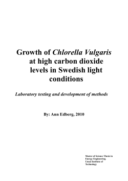 At High Carbon Dioxide Levels In Swedish Light Conditions