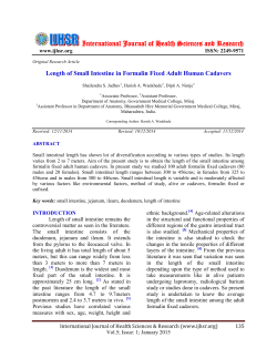 Length of Small Intestine in Formalin Fixed Adult Human Cadavers.