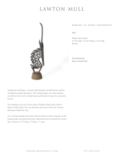 In Bamana mythology, a creature half-antelope and