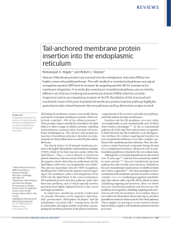 Tail-anchored membrane protein insertion into the endoplasmic
