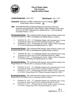 Adopt eight Resolutions confirming diagram and assessment and